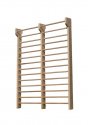Double Swedish ladder